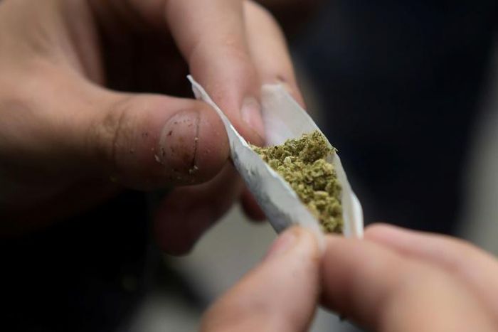 New Zealand Prime Minister Jacinda Ardern's government has already moved to legalise medicinal cannabis, with legislation on the issue working its way through parliament