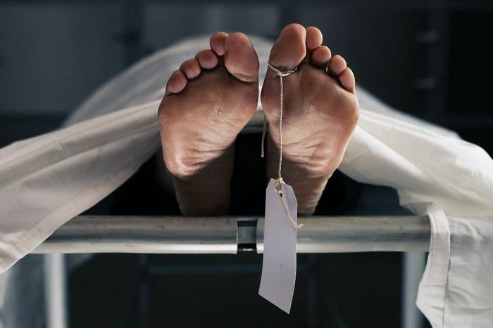 A woman reportedly visits her daughter to find that she has been killed by her grandson. He allegedly murdered the victim for money ritual.