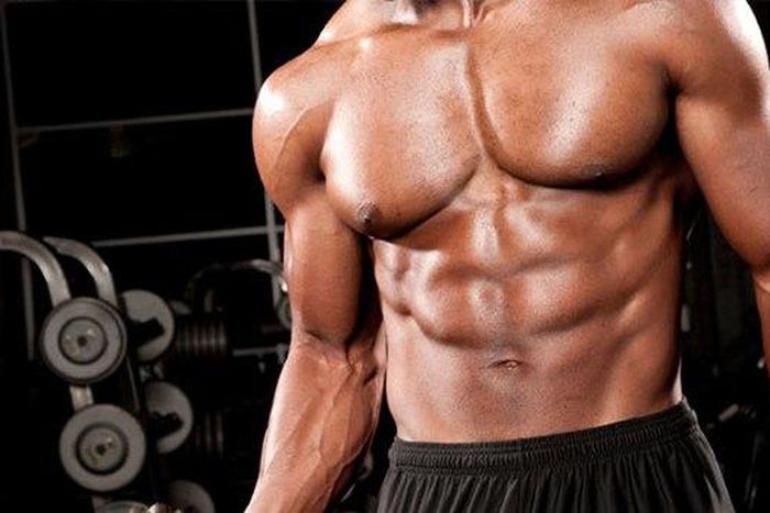 ___9193883___2018___12___12___20___Growth-Factor-Chest-Training