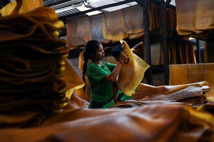 In Thailand, the price of rubber has slumped twenty percent since June, as tariffs bite hard on demand from China