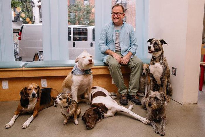 ___9095969___2018___11___12___13___merlin_145368600_b8e003e2-83f6-404b-a03f-b17558d1f3d2-articleLarge