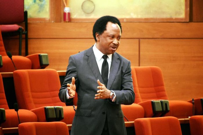 Shehu Sani