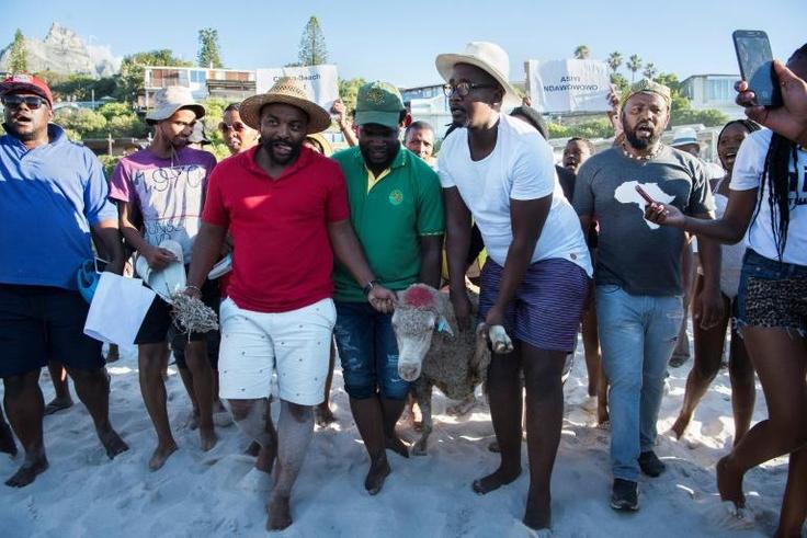 Protestors slaughtered a sheep on Clifton beach over allegations that private security guards had ordered black beachgoers to leave