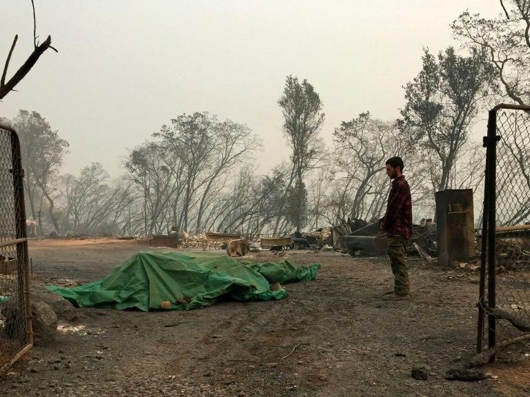 Jhonathan Clark stands in front of his dead horse, which he covered with a tarp