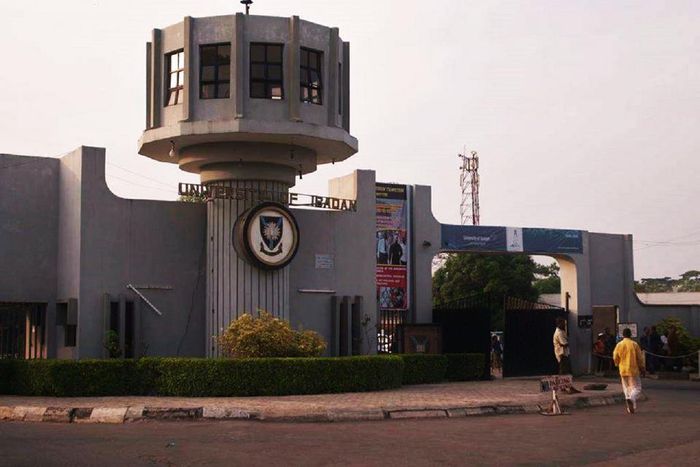 The University of Ibadan is the oldest university in Nigeria.