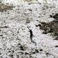 Fears that diseases as mild as the common cold could kill off the tribe has left them in a guarded bubble