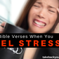 7 Bible verses to get you through stressful times. [takebackyourtemple]