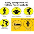 The early and severe symptoms of Yellow Fever explained