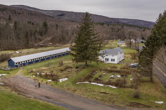 Forget the Suburbs, It's Country or Bust