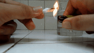 ___9125316___2018___11___21___8___honey+gif