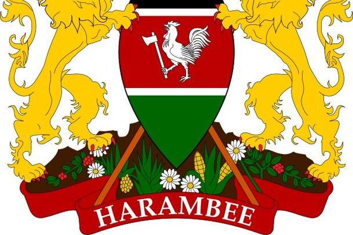 Office of the Vice President of Kenya