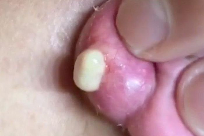 ___9091141___2018___11___10___7___screen-shot-2018-11-09-at-10-38-51-am-1541777952