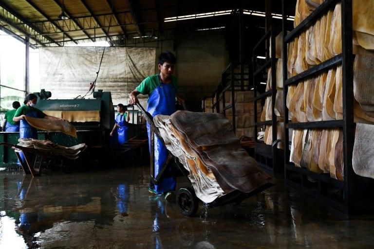 Tyre giant Michelin buys 40 percent of its natural rubber from Thailand