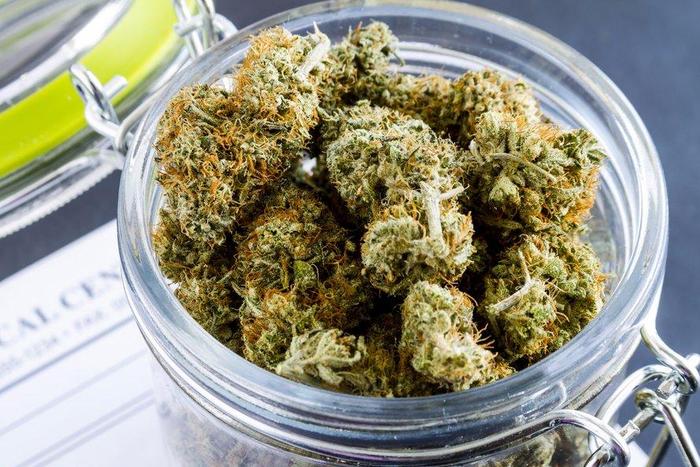 cannabis