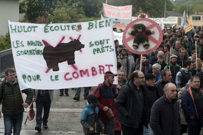 A protest by shepherds in Pau, southwest France, this year against the reintroduction of bears in the Pyrenees mountains