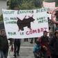 A protest by shepherds in Pau, southwest France, this year against the reintroduction of bears in the Pyrenees mountains