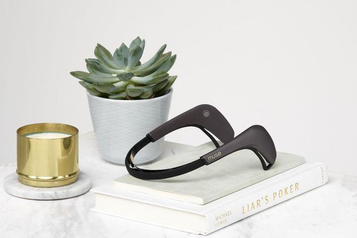 ___9068803___2018___11___4___15___muse-2-image-107-1540920353