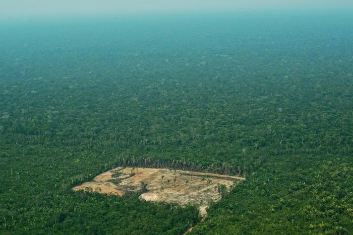 An aerial view from 2017 shows deforestation in the Western Amazon region of Brazil