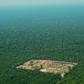 An aerial view from 2017 shows deforestation in the Western Amazon region of Brazil