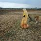Hindus consider cows sacred and the BJP, led by Prime Minister Narendra Modi, has campaigned for their protection at a state and national level