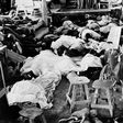 Corpses from the "Jonestown Massacre" in Guyana in 1978