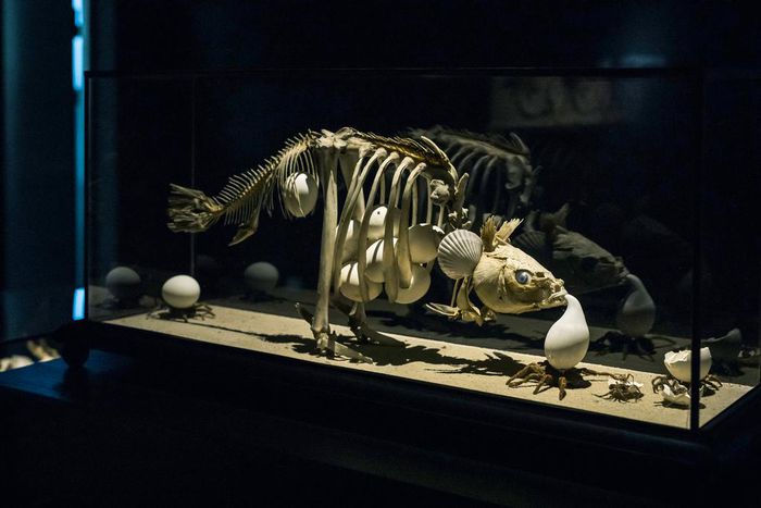 The 'Godfather of Animated Cinema' Makes More Than Just Movies