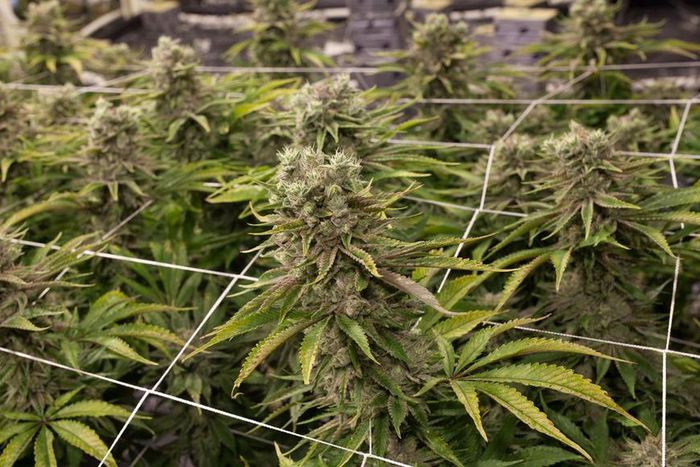 ___9005492___2018___10___21___22___1706-denver-057-1539811698