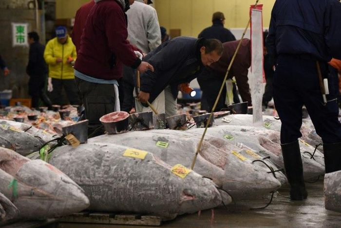 Each New Year's Day, high-profile buyers vied to pay hundreds of thousands of dollars for the top tuna at the first auction of the year