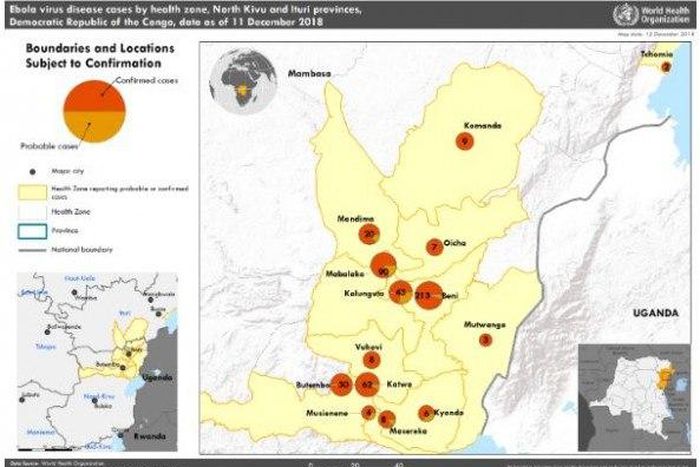 World Health Organization (WHO)