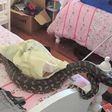 A snake crawls near the mattress of a student who was asleep and may have bitten her if not for the presence of school campus security guards.