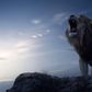 Lion King