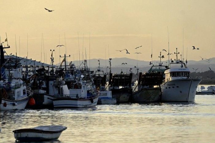 The 13 crew members of a Spanish fishing boat have hosted 12 migrants from Niger, Somalia, Sudan, Senegal and Egypt whom they rescued from a rubber dinghy off the coast of Libya