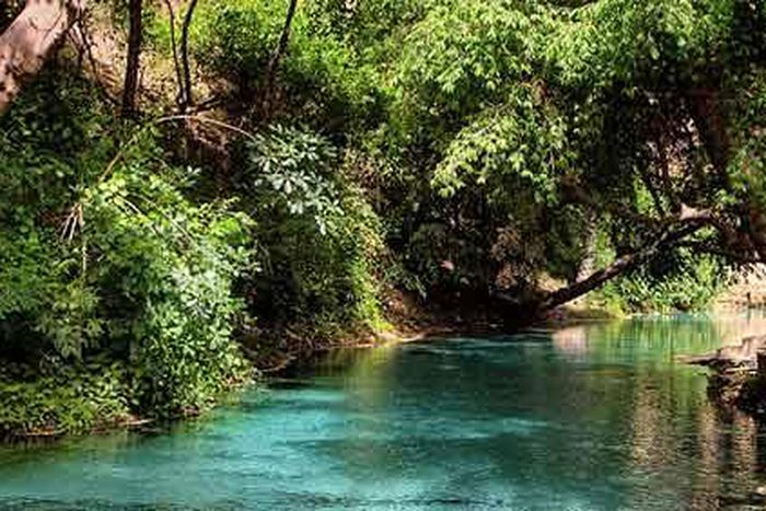 All you need to know about planning a trip to Yankari Game Reserve