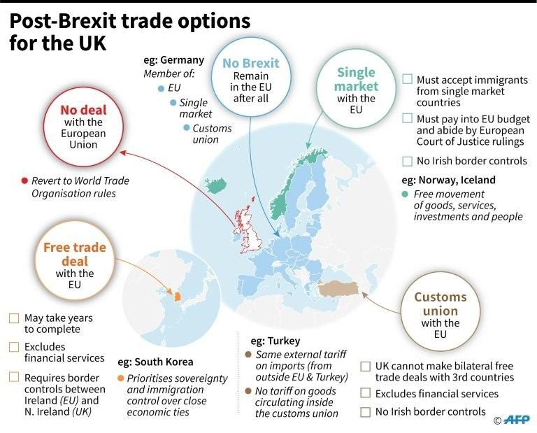 Pros and cons of possible models for a post-Brexit relationship between the UK and the EU.