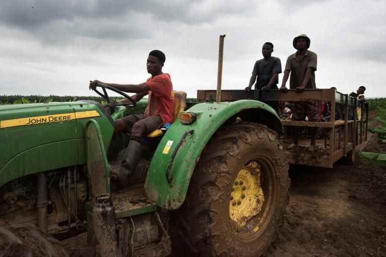 Novagrolider's output has grown exponentially in recent years and its parent company, Grupolider, which has interests in transport and property as well, employs 3,500 people