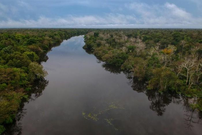 Illegal mining puts at risk rivers like the Jaraua river in the Mamiraua Sustainable Development Reserve in Brazil's Amazonas state