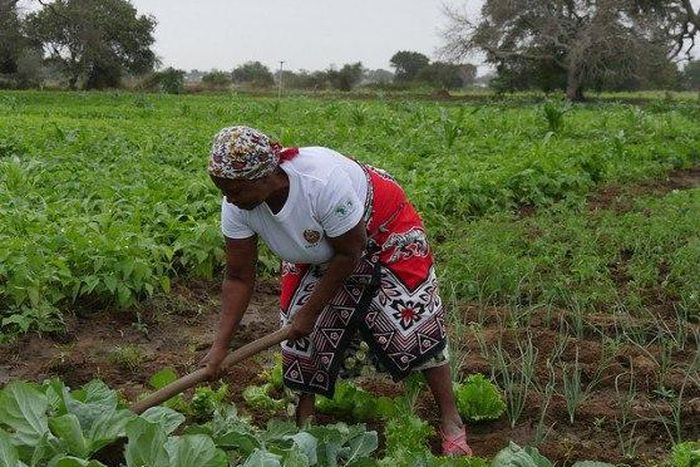 African Development Bank Group (AfDB)