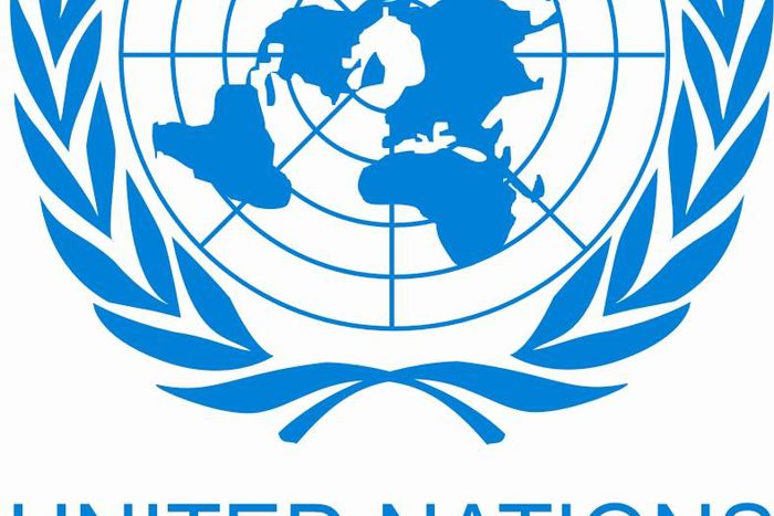 United Nations Conference on Trade and Development (UNCTAD)