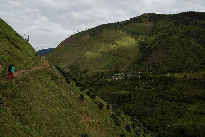 A landslide struck the Los Andes suburb of the town of Marquetalia, after the mountain town was hit by torrential rainfall