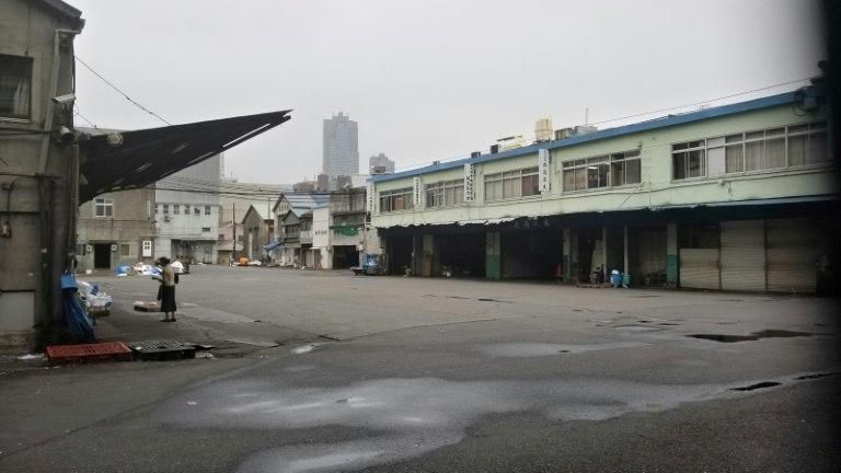 The fish and people may have gone, but exterminators believe tens of thousands of rats remain and are planning a military-style campaign to eradicate them