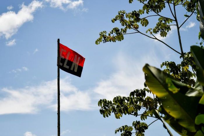 The ELN's flag flying in the Catatumbo jungle, one of the lawless regions where the Marxist rebels are active