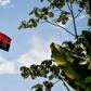 The ELN's flag flying in the Catatumbo jungle, one of the lawless regions where the Marxist rebels are active