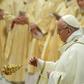 Pope Francis celebrates a mass at St Peter's basilica in the Vatican