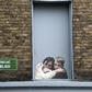 Rocketing prices have impoverished renters and pushed families into homelessness, leading to weekly protests in the streets of Dublin