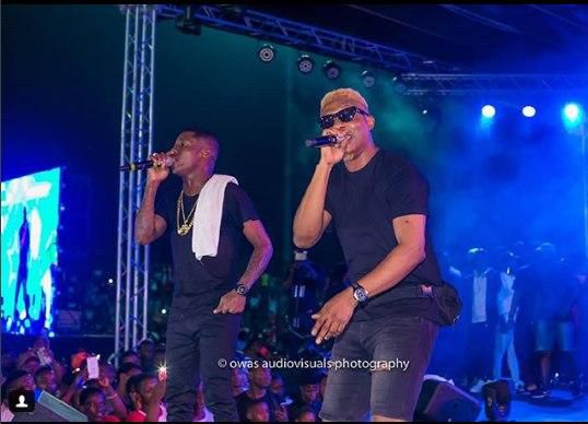 ___9183521___2018___12___10___7___Omo+better