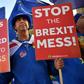 Anti-Brexit demonstrator Steve Bray and his supporters are stepping up their protests ahead of next week's parliament vote on a withdrawal deal