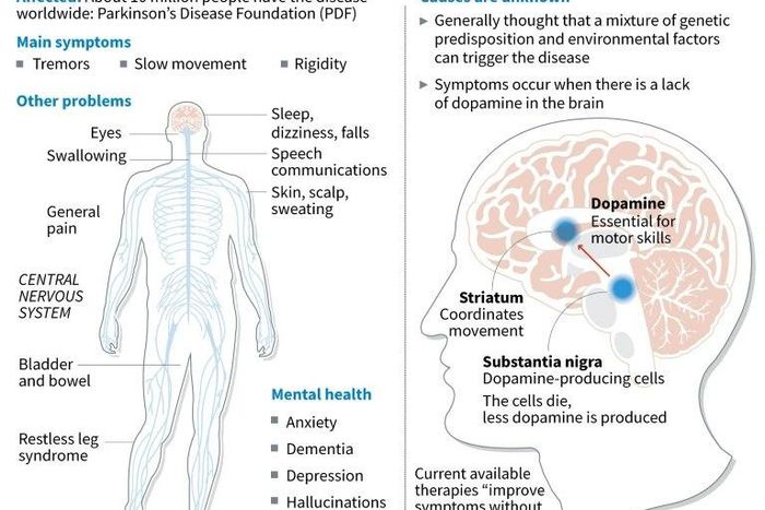Worldwide, about 10 million people have the illness, according to the Parkinson's Disease Foundation