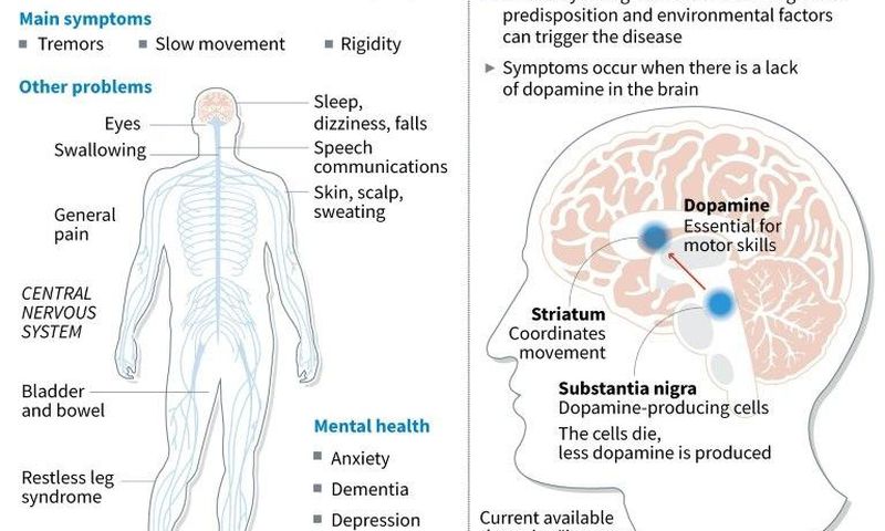 Worldwide, about 10 million people have the illness, according to the Parkinson's Disease Foundation
