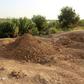 The UN says it has documented more than 200 mass graves in parts of Iraq once held by the Islamic State group