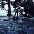 The low-lying Marshall Islands will drown beneath rising seas if global warming continues unabated